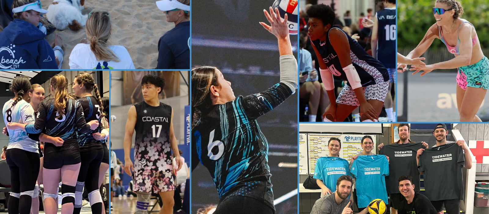 Volleyball association online