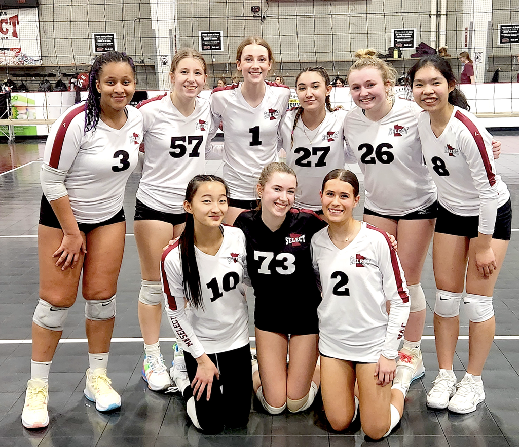 Volleyball tryouts online