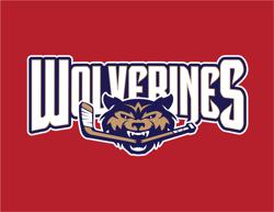 Wolverines logo